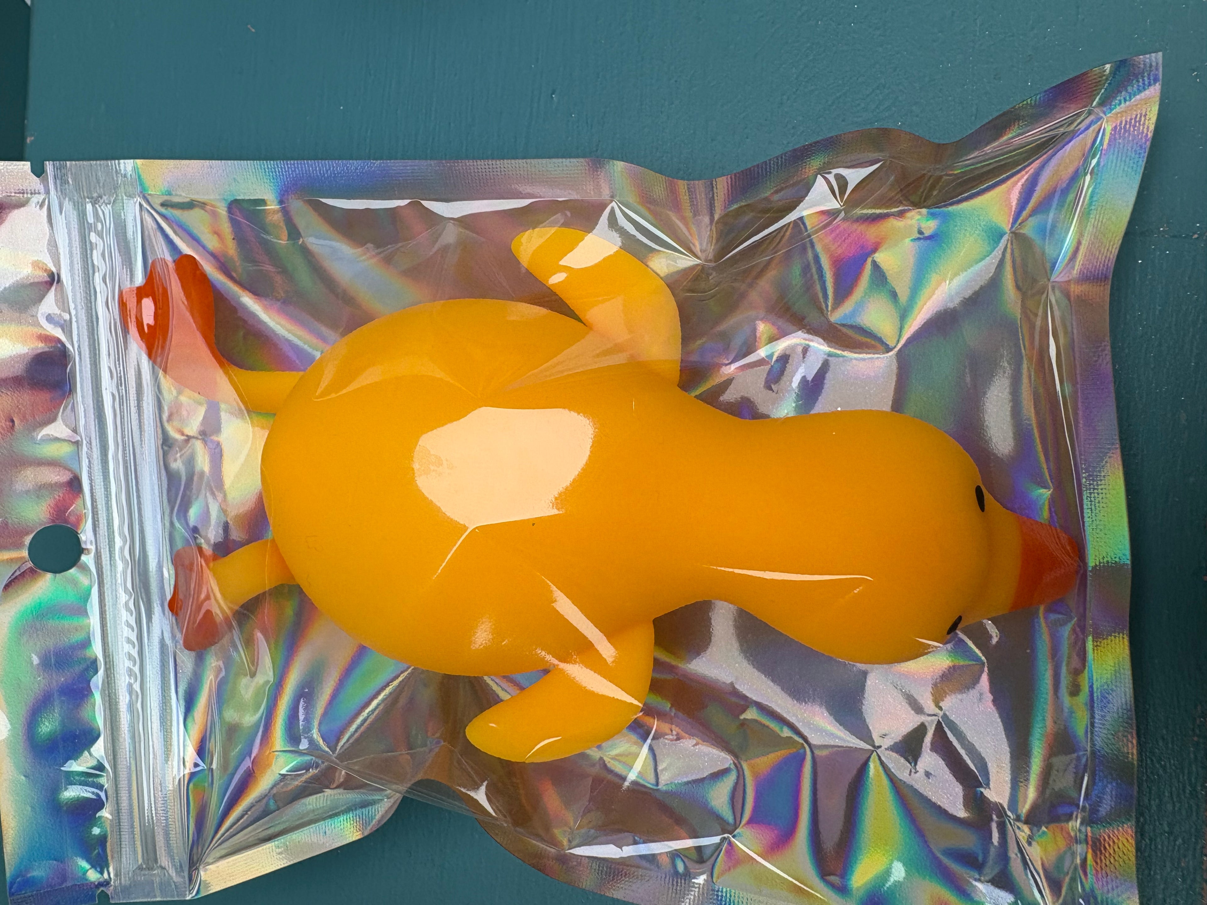 Duck